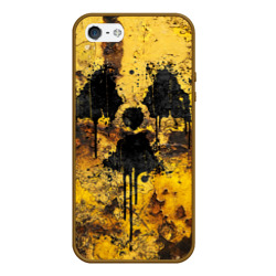 Чехол для iPhone 5/5S матовый Rusty radiation