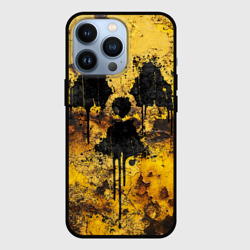 Чехол для iPhone 13 Pro Rusty radiation