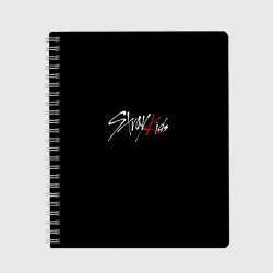 Тетрадь Stray Kids white logo