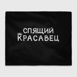 Спящий красавец – Плед 3D с принтом купить со скидкой в -14%