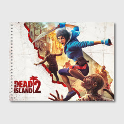 Альбом для рисования Dead island II