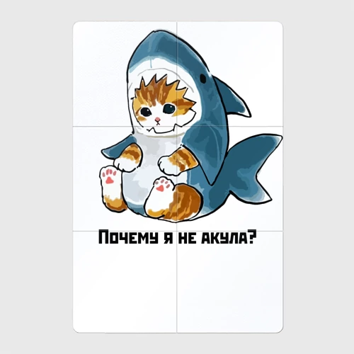 Котик акула рисунок