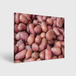 Холст прямоугольный Картофельные клубни