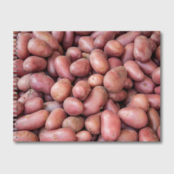 Альбом для рисования Картофельные клубни