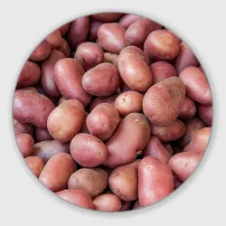 Круглый коврик для мышки Картофельные клубни