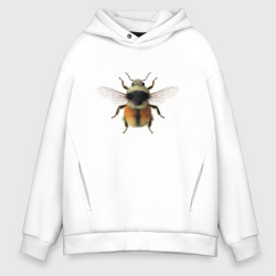 Мужское худи Oversize хлопок Bombus glacialis - тип 1