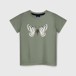 Детская футболка хлопок Parnassius hannyngtoni - тип 1