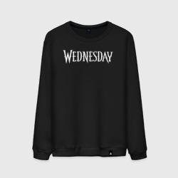 Мужской свитшот хлопок Wednesday logo