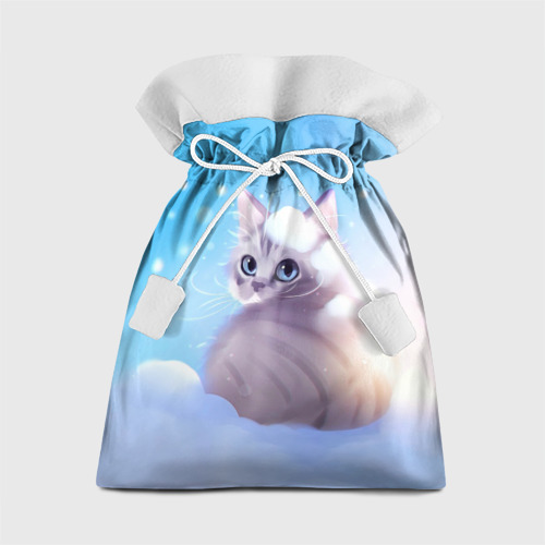 Подарочный 3D мешок Заснеженный котик