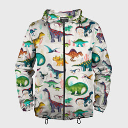 Мужская ветровка 3D Painted dinosaurs