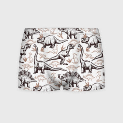Мужские трусы 3D Drawn dinosaurs steps: стего, дипло и тиранозавры - паттерн динозавров