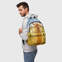 Рюкзак 3D Ламы - я и друг, найди меня - фото 2