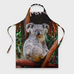 Фартук 3D Очень уставшая коала