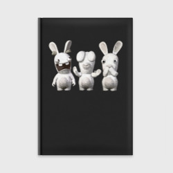 Ежедневник Rayman Raving Rabbids - characters