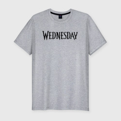 Мужская футболка хлопок Slim Logo black Wednesday