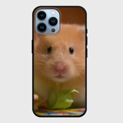 Чехол для iPhone 14 Pro Max Хомяк ест
