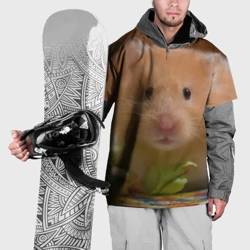 Накидка на куртку 3D Хомяк ест