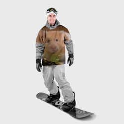 Накидка на куртку 3D Хомяк ест - фото 2