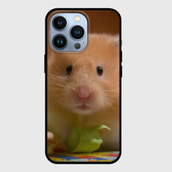 Чехол для iPhone 13 Pro Хомяк ест