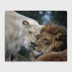 Влюбленные львы – Плед с принтом купить со скидкой в -14%
