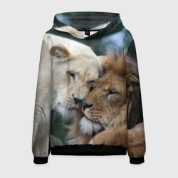 Мужская толстовка 3D Влюбленные львы