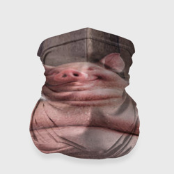 Бандана-труба 3D Свинья сидит в сауне кайфует