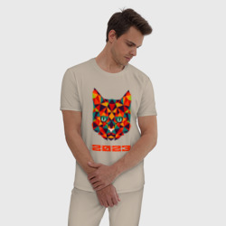 Мужская пижама хлопок Низкополигональный графичный кот 2023 - фото 2