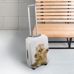 Чехол для чемодана 3D Котёнок породы манчкин - фото 2