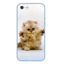Чехол для iPhone 5/5S матовый Котёнок породы манчкин