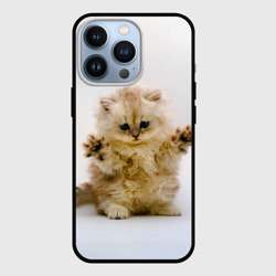 Чехол для iPhone 13 Pro Котёнок породы манчкин