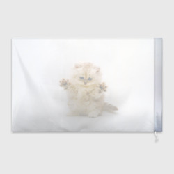 Флаг 3D Котёнок породы манчкин - фото 2