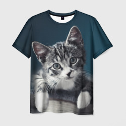 Мужская футболка 3D Милый любопытный котёнок