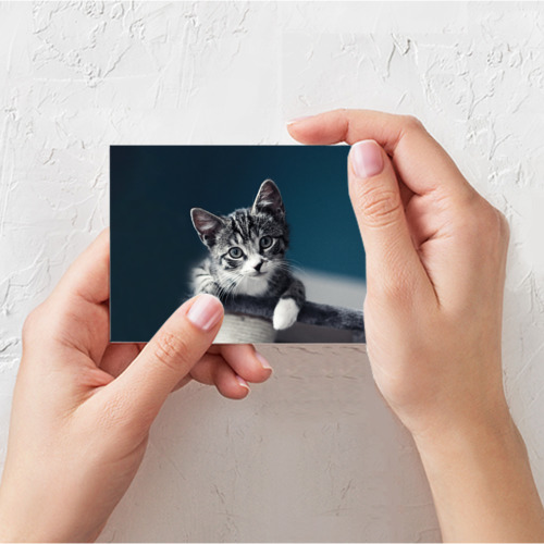 Поздравительная открытка Милый любопытный котёнок, цвет белый - фото 3