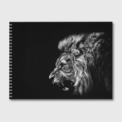 Альбом для рисования Чёрно белый лев