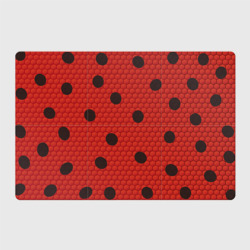 Магнитный плакат 3Х2 Леди божья коровка