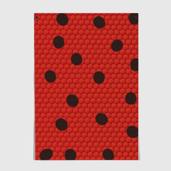 Постер Леди божья коровка