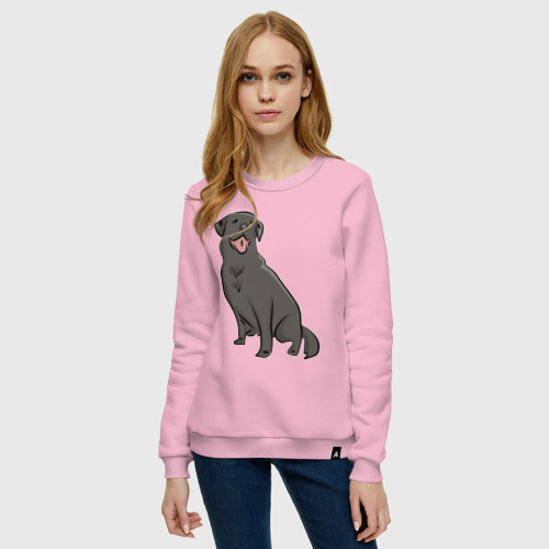 Женский свитшот хлопок Чёрный лабрадор, цвет светло-розовый - фото 3