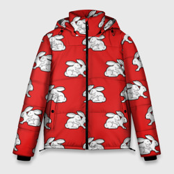 Мужская зимняя куртка 3D Секс кролики на красном