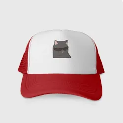 Кепка тракер с сеткой Серый котик в очках - парная