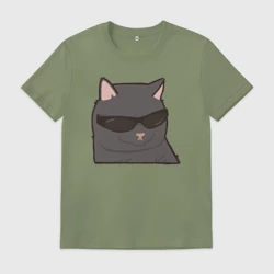 Мужская футболка хлопок Серый котик в очках - парная