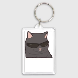 Брелок прямоугольный 35*50 Серый котик в очках - парная