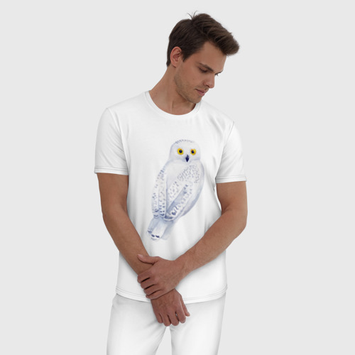 Мужская пижама хлопок Белая полярная сова, цвет белый - фото 3