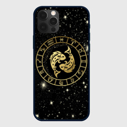 Чехол для iPhone 12 Pro Max Знак Рыбы на звездном небе