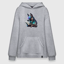 Худи SuperOversize хлопок Киберпанк собака с книгой