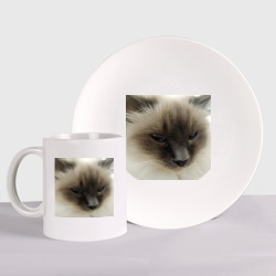 Пушистая балинезийская кошка – Набор: тарелка + кружка с принтом купить