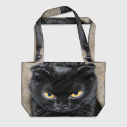 Пляжная сумка 3D Темнейший кот