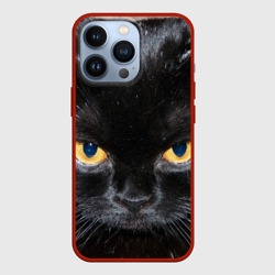 Чехол для iPhone 13 Pro Темнейший кот