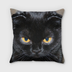 Подушка с принтом Темнейший кот для любого человека, вид сзади №1. Цвет основы: 3d (велсофт)