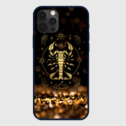 Чехол для iPhone 12 Pro Max Знак зодиака скорпион
