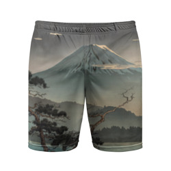 Мужские шорты спортивные Великий вулкан Фудзияма